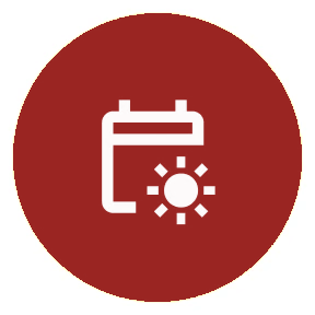 Vitamin D icon