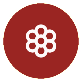 Simplicity icon
